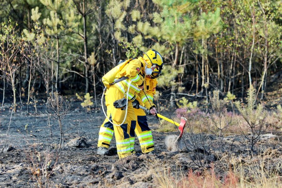 brandweermensen bezig tijdens natuurbrand