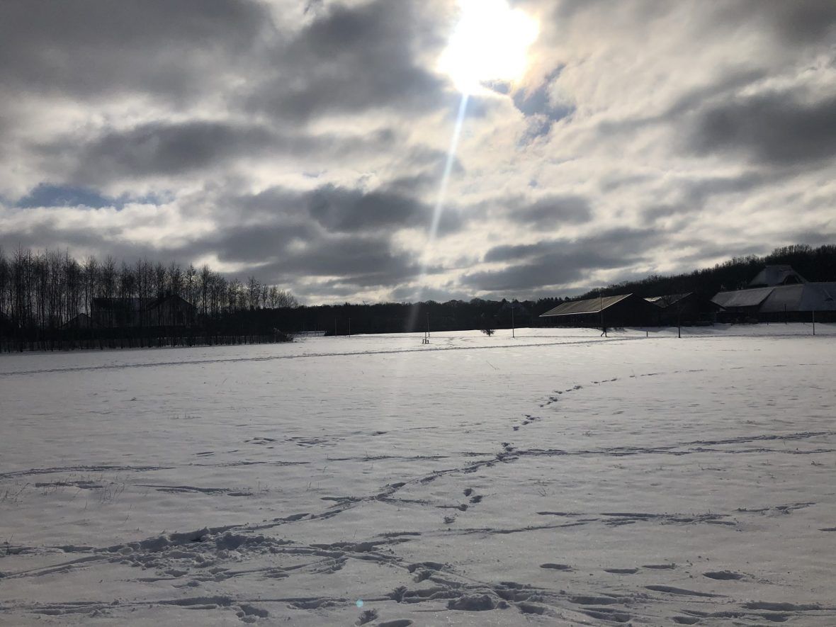 Sneeuw in Nederland