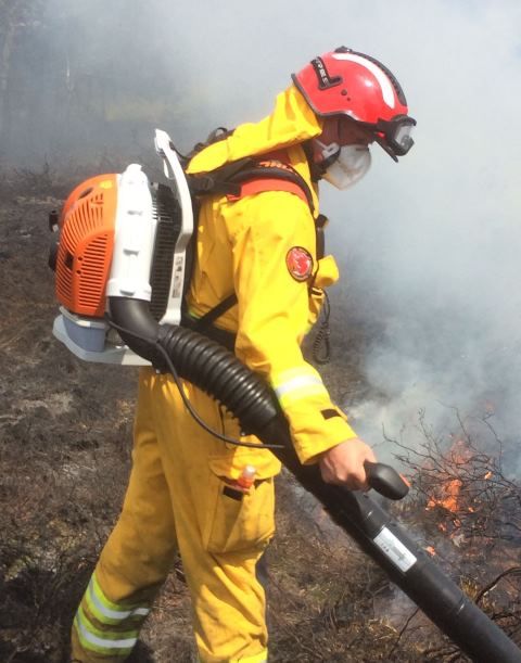 brandweerman in actie bij natuurbrand