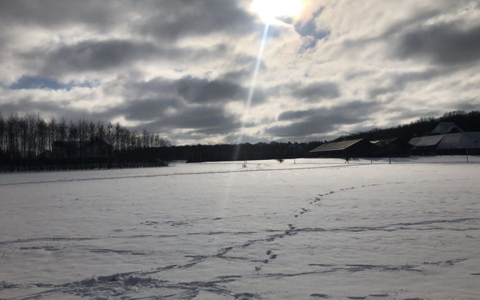 Sneeuw in Nederland